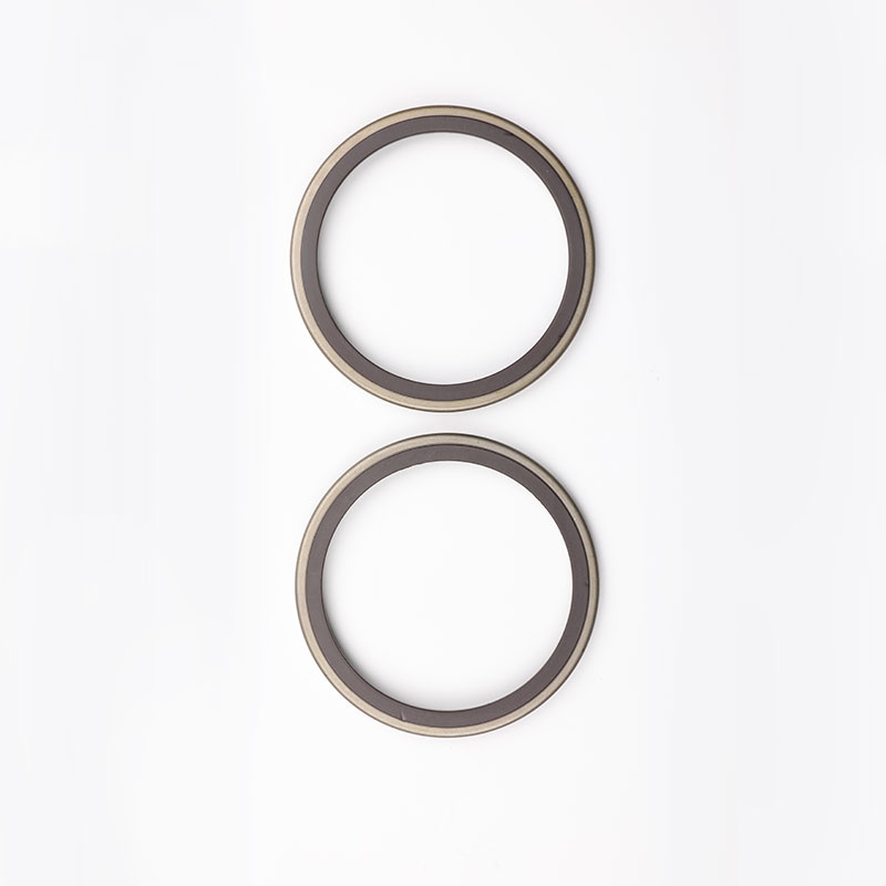 Remschijf magnetische ring